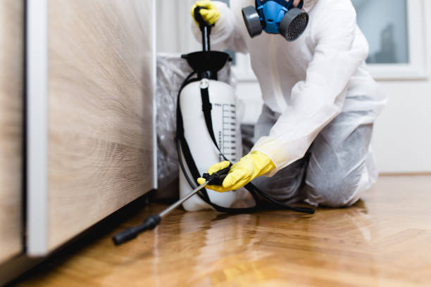 Best Residential Pest Control  in Gramercy, LA