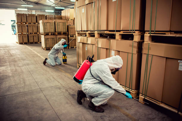 Best Wasp Removal Services  in Gramercy, LA