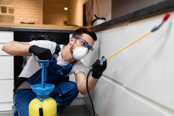 Reliable Gramercy, LA Pest Control Solutions