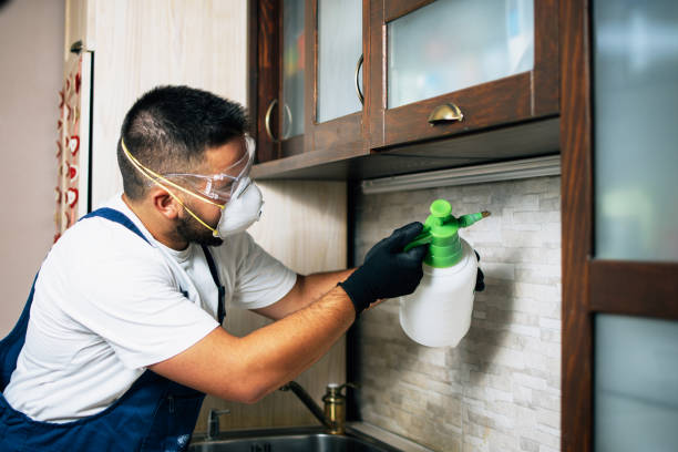 Best Best Pest Control Companies  in Gramercy, LA