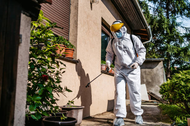 Flea Control Services in Gramercy, LA