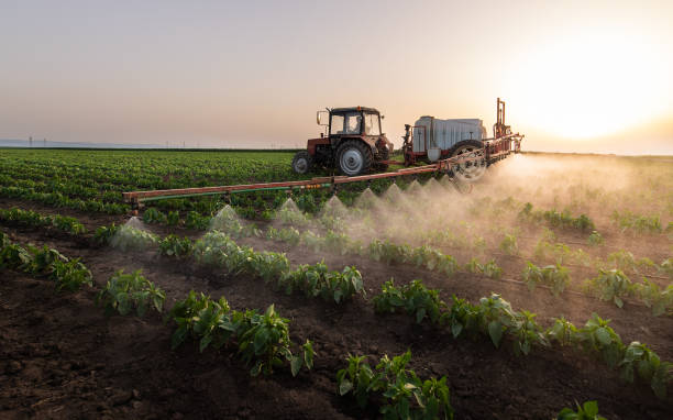 Best Pest Prevention Services  in Gramercy, LA