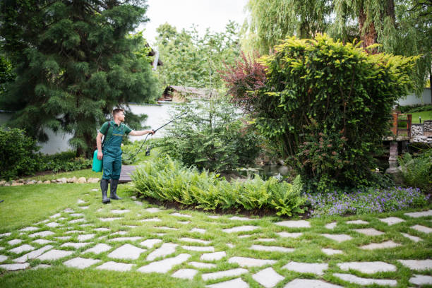 Best Best Pest Control Companies  in Gramercy, LA