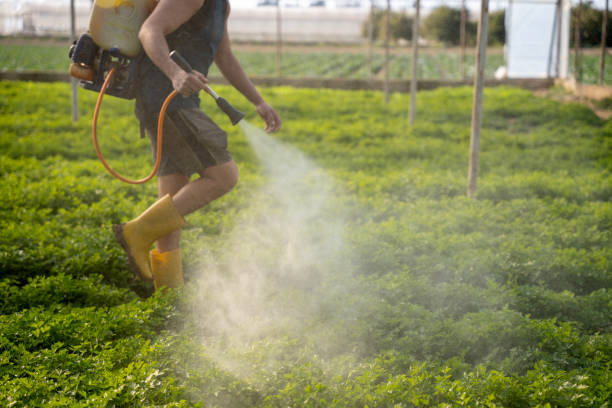 Best Exterminator Services  in Gramercy, LA