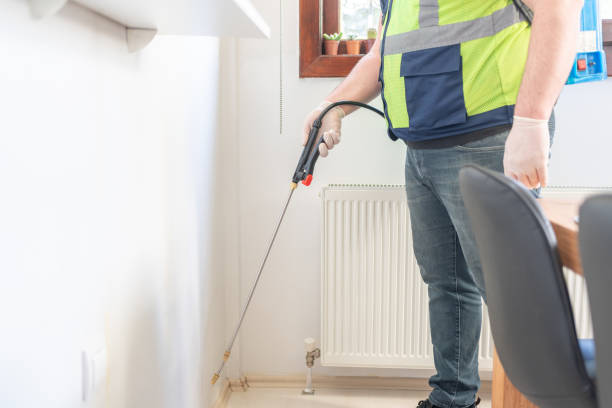 Best Flea Control Services  in Gramercy, LA