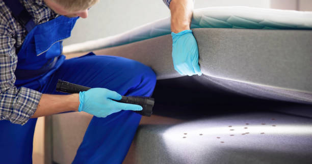 Best Pest Control Near Me  in Gramercy, LA