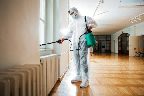 Best Affordable Pest Control Services  in Gramercy, LA