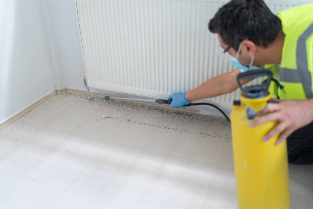 Best Emergency Pest Control  in Gramercy, LA