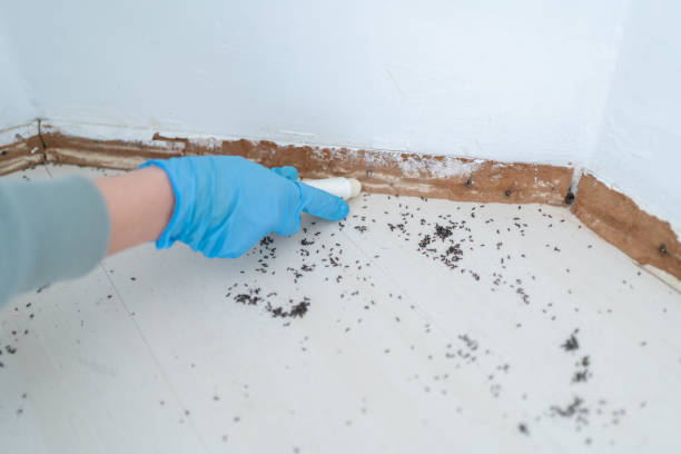 Best Exterminator Services  in Gramercy, LA