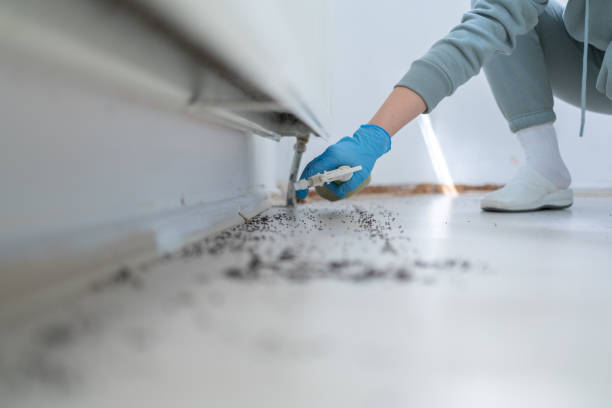 Best Emergency Pest Control  in Gramercy, LA