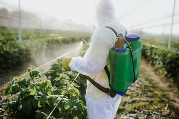 Best Pest Control for Businesses  in Gramercy, LA